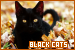 a black cats fanlisting stamp. a black cat playing in fallen orange leaves. the words black cats are written in the bottom right hand corner.