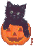 a black cat sitting in an orange jack-o-lantren