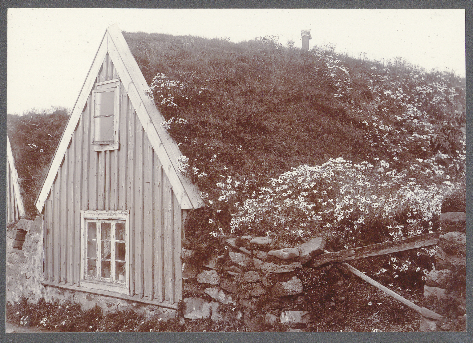 greyscale photo of a house with chamomile growing on a turf roof
