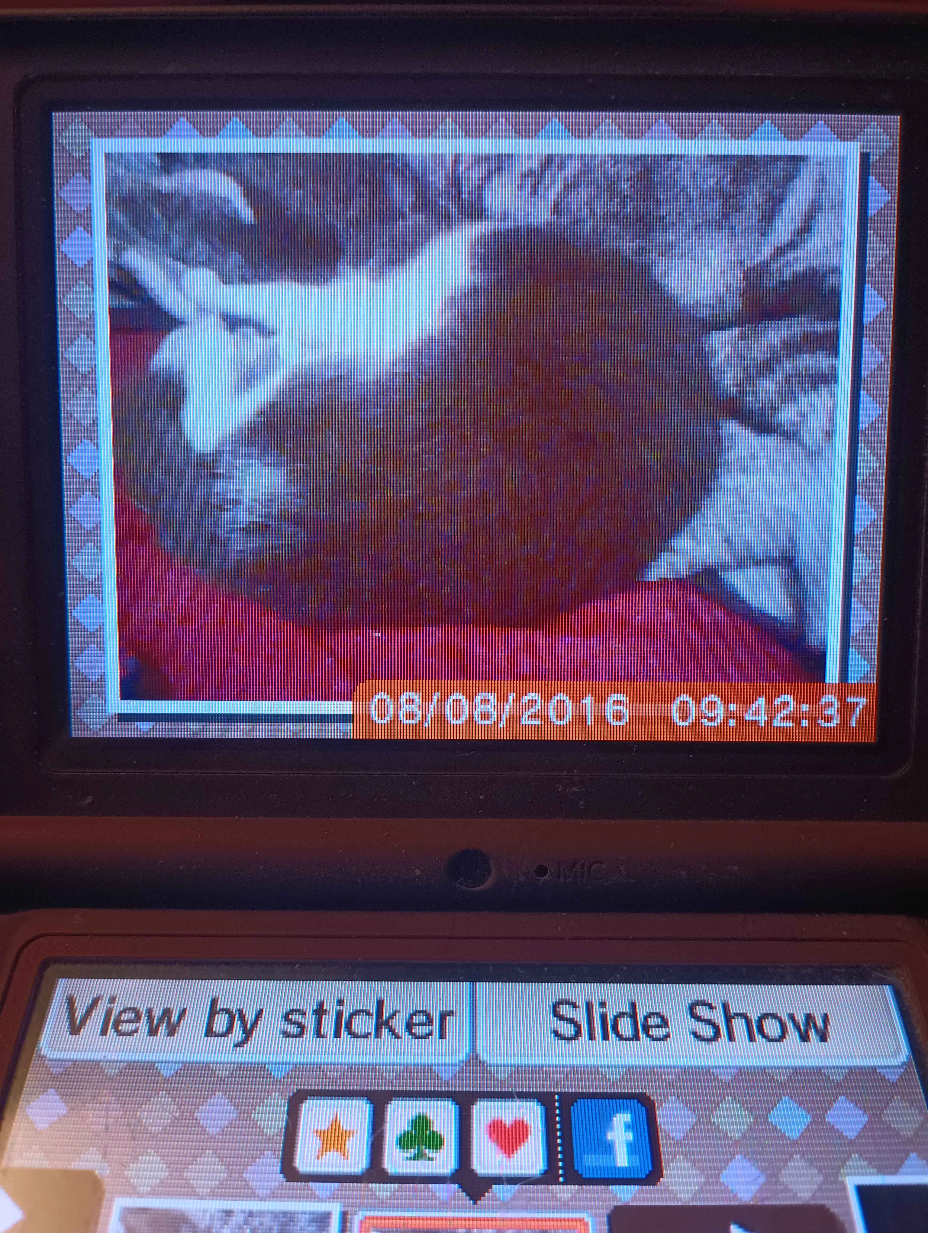 photo of a photo on a dsi. It is of a grey and white cat sleeping on a red sheet and darker grey blanket.