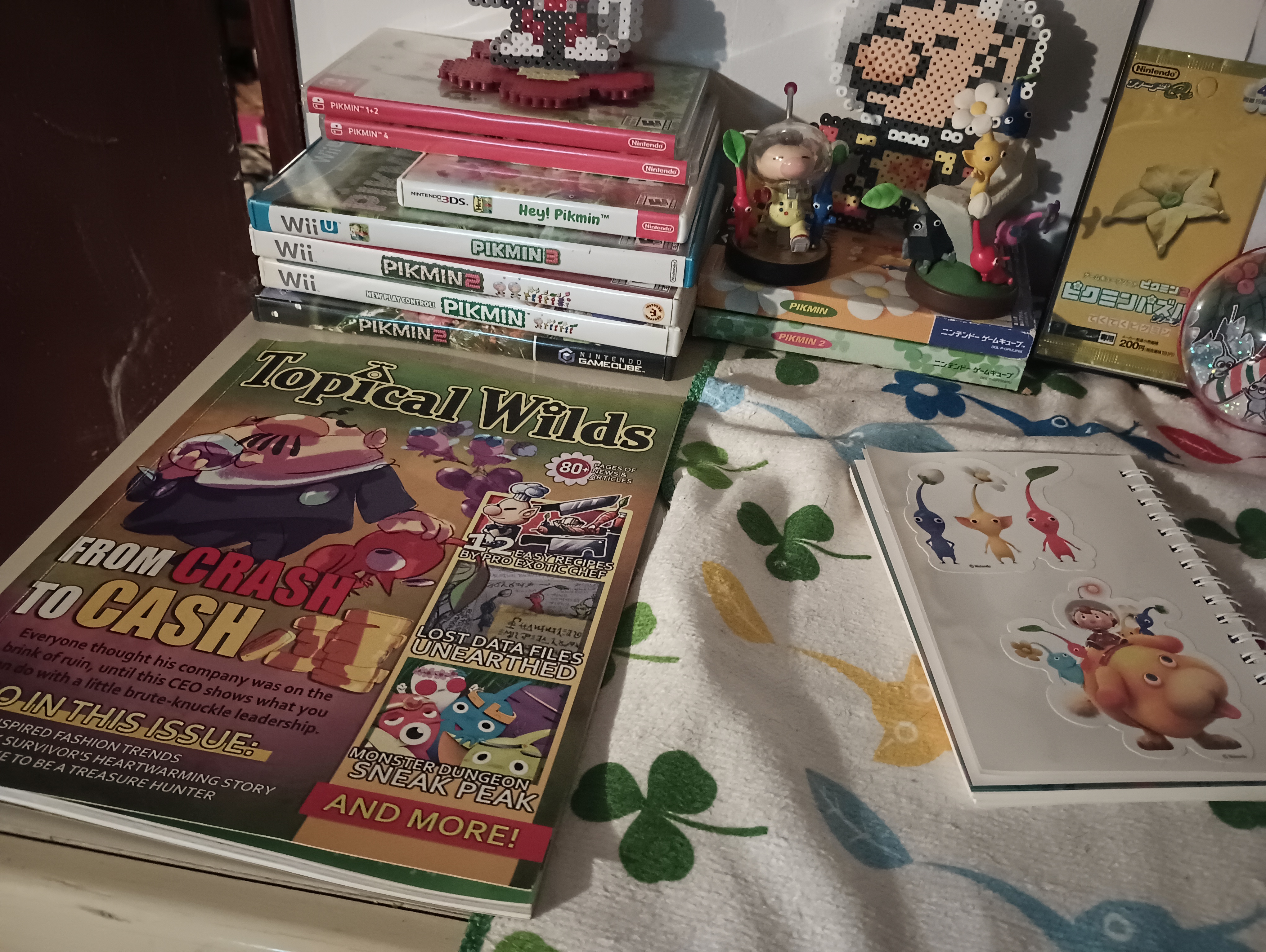 close-up of a shelf focusing on two books.